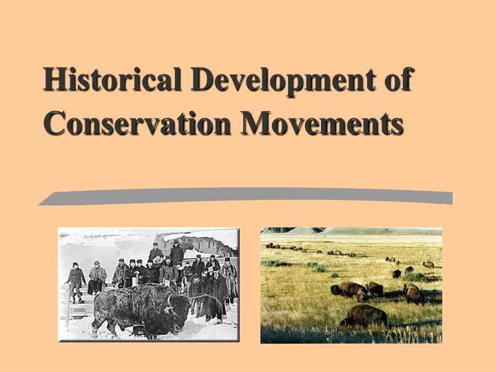 historical development of conservation movements