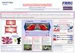 Collective - slide 1