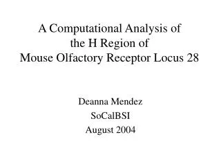 A Computational Analysis of the H Region of Mouse Olfactory Receptor Locus 28