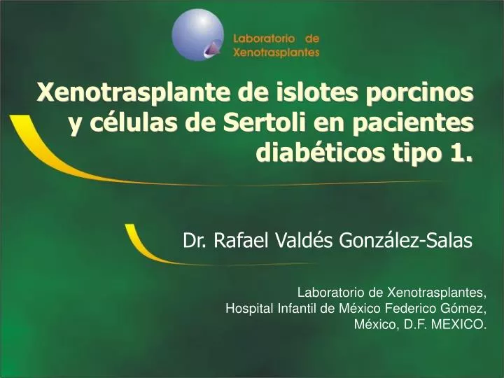 xenotrasplante de islotes porcinos y c lulas de sertoli en pacientes diab ticos tipo 1