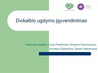 dvikalbio ugdymo gyvendinimas