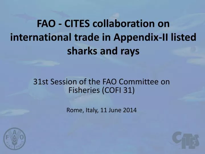fao cites collaboration on international trade in appendix ii listed sharks and rays
