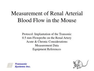 Measurement of Renal Arterial Blood Flow in the Mouse