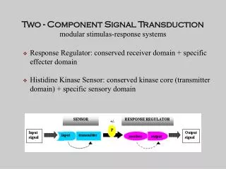 Two - Component Signal Transduction modular stimulas-response systems