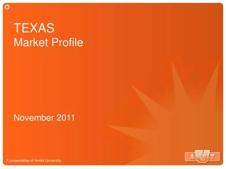 texas market profile