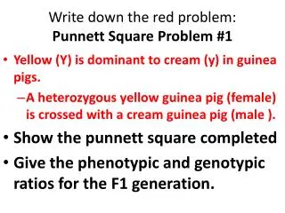 Write down the red problem: Punnett Square Problem #1