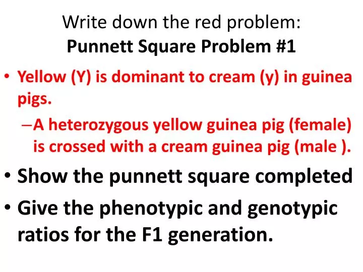 write down the red problem punnett square problem 1