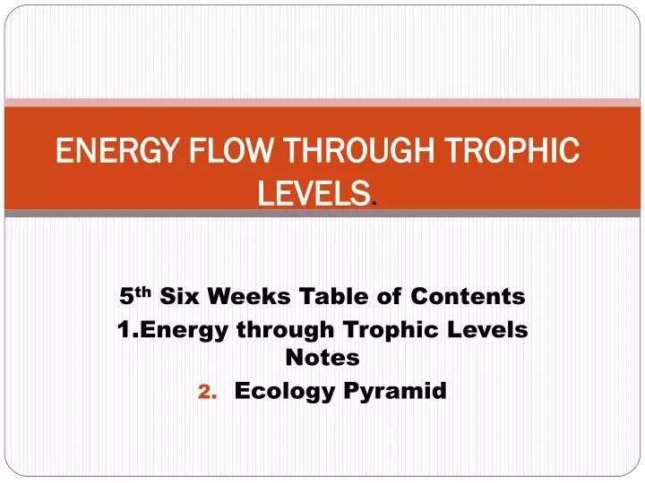 energy flow through trophic levels