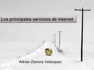 los principales servicios de internet