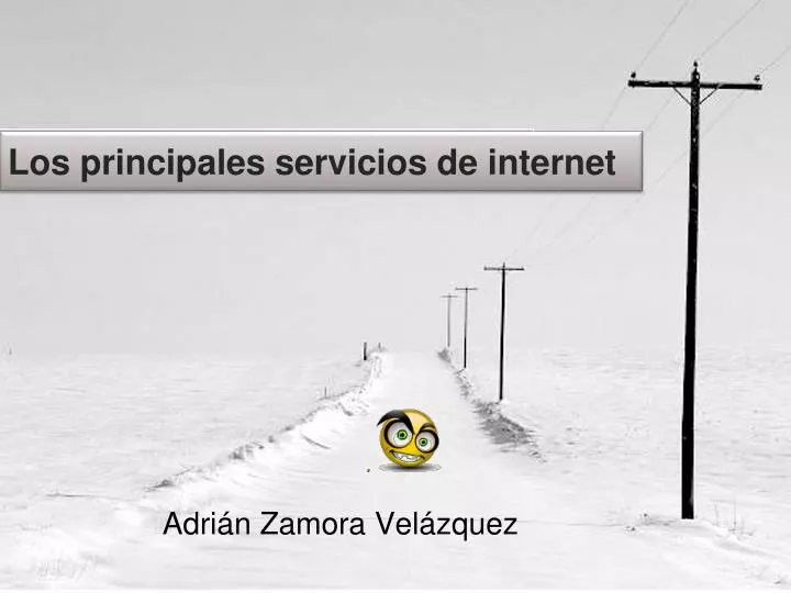 los principales servicios de internet
