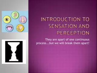 Introduction to Sensation and Perception