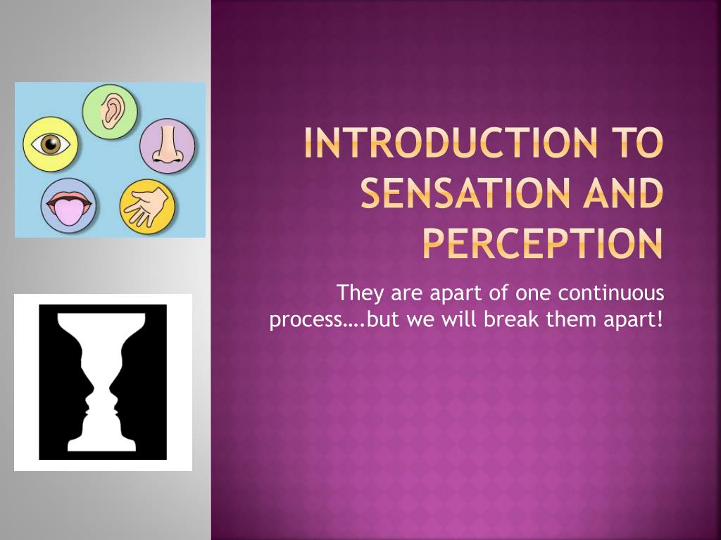 PPT - Introduction to Sensation and Perception PowerPoint Presentation ...