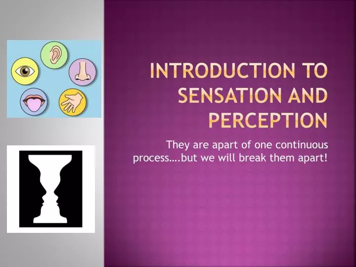 introduction to sensation and perception