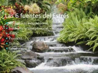 las 6 fuentes del estr s