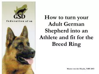 How to turn your Adult German Shepherd into an Athlete and fit for the Breed Ring