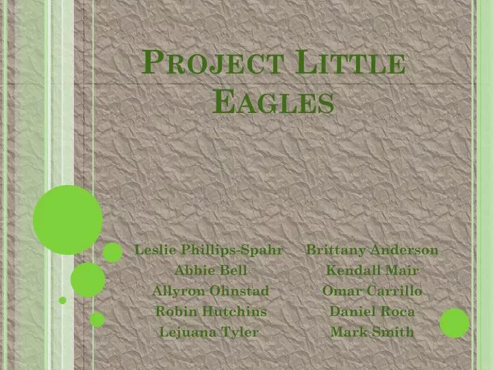 project little eagles