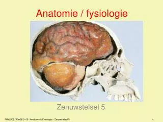 anatomie fysiologie