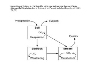 Carbon Dioxide Variation in a Hardwood Forest Stream: An Integrative Measure of Whole