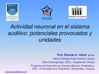 Actividad neuronal en el sistema auditivo: potenciales provocados y unidades