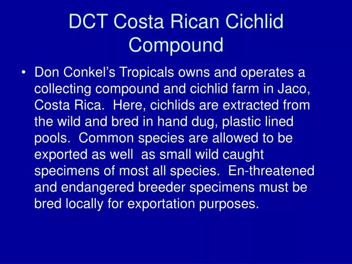 dct costa rican cichlid compound