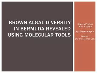 Brown Algal Diversity in Bermuda Revealed using Molecular Tools