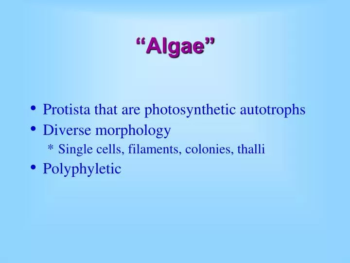 algae