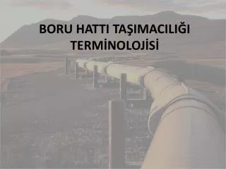 boru hatti ta imacili i term noloj s