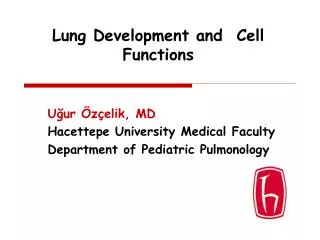 Lung Development and Cell Functions