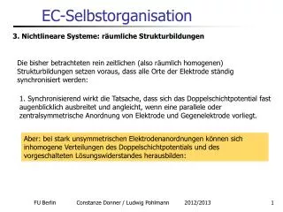 ec selbstorganisation