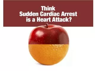 SCA Awareness Apples and Oranges Campaign Slides