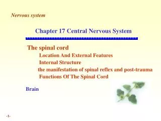 Chapter 17 Central Nervous System