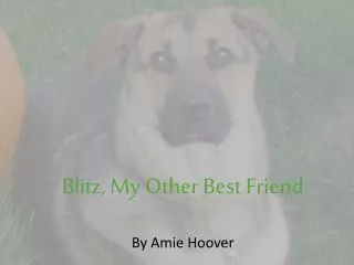 Blitz, My Other Best Friend