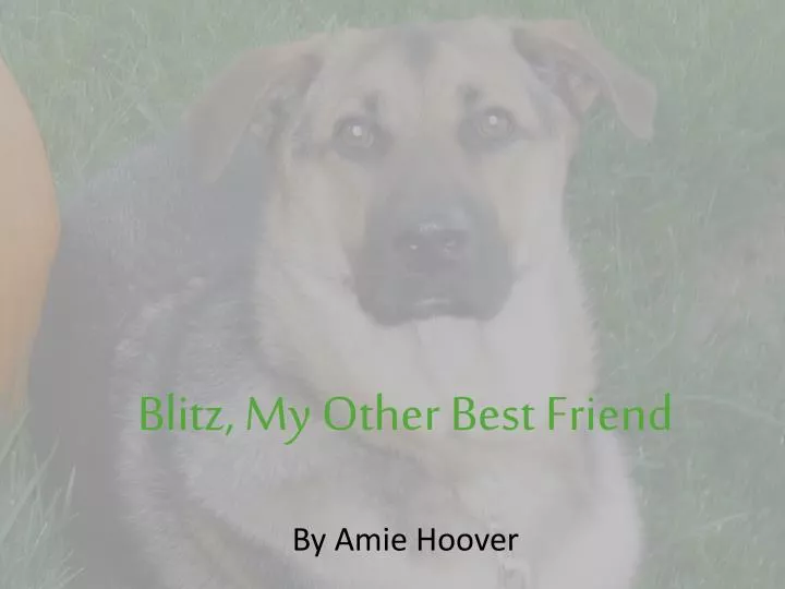 blitz my other best friend