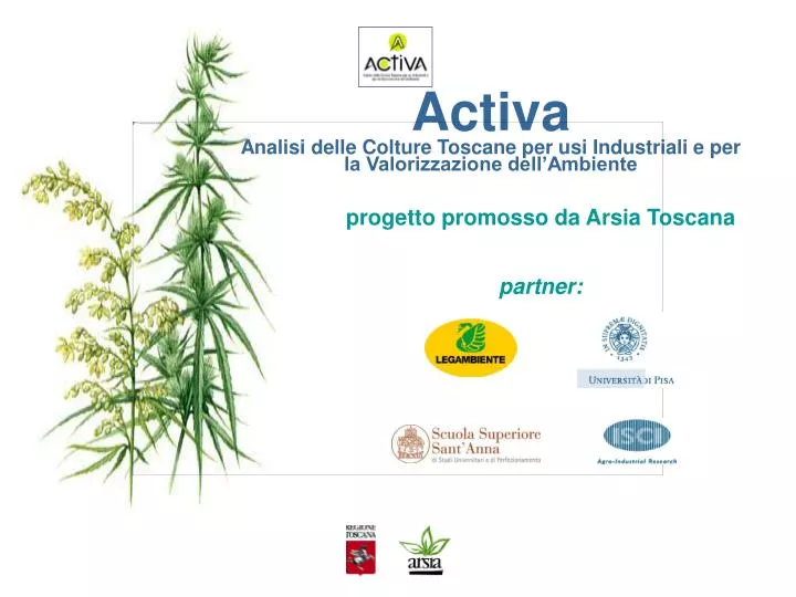 activa analisi delle colture toscane per usi industriali e per la valorizzazione dell ambiente