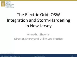 The Electric Grid: OSW Integration and Storm-Hardening in New Jersey
