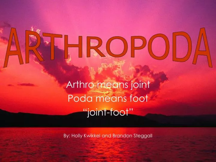 arthro means joint poda means foot joint foot by holly kwikkel and brandon steggall