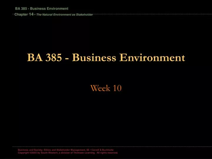 ba 385 business environment