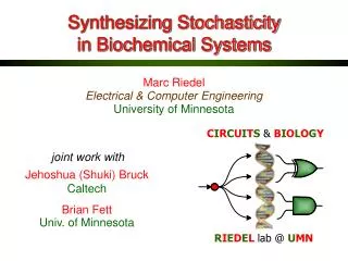 Synthesizing Stochasticity in Biochemical Systems