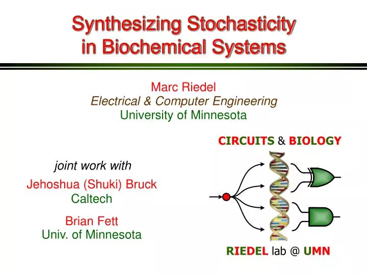 synthesizing stochasticity in biochemical systems