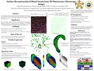 Surface Reconstruction of Blood Vessels from 3D Fluorescence Microscopy Images