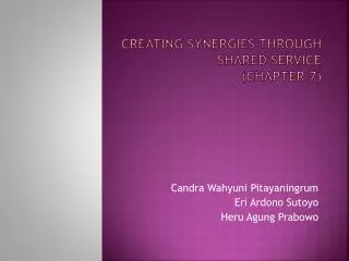 creating synergies through shared service chapter 7