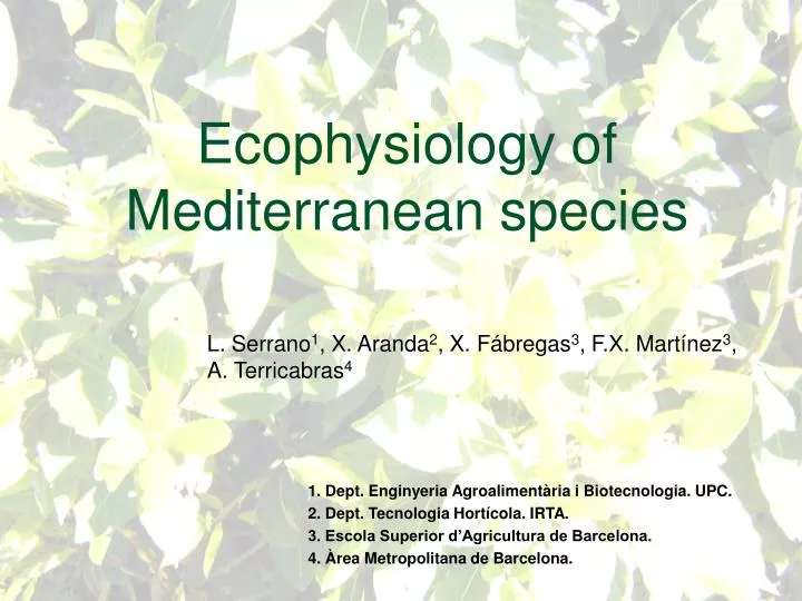 ecophysiology of mediterranean species