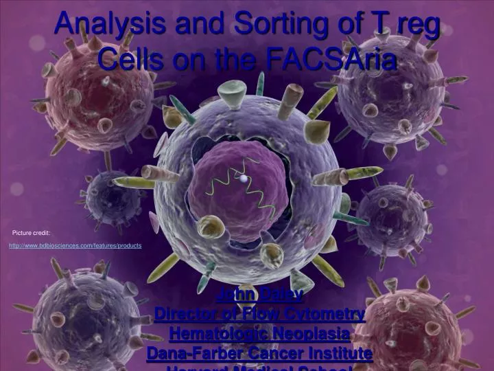 analysis and sorting of t reg cells on the facsaria