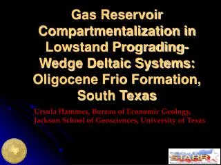 Ursula Hammes, Bureau of Economic Geology, Jackson School of Geosciences, University of Texas