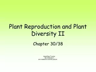Plant Reproduction and Plant Diversity II