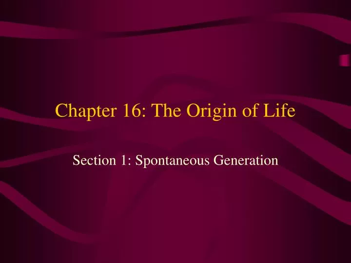 chapter 16 the origin of life