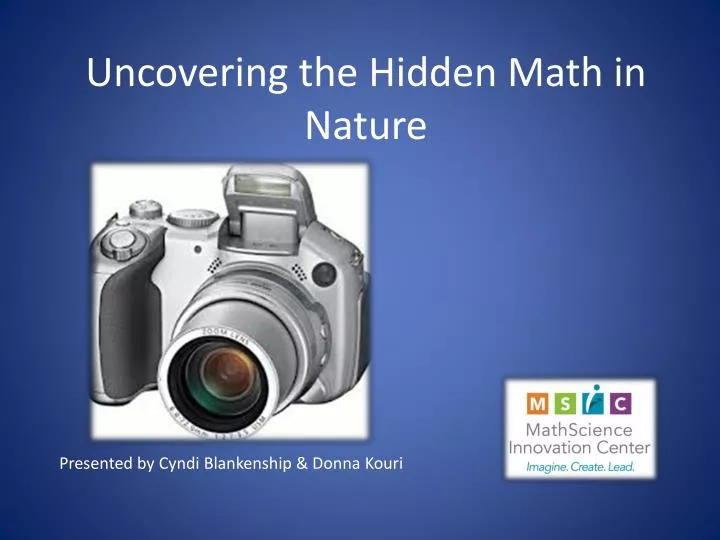 uncovering the hidden math in nature