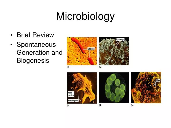 microbiology