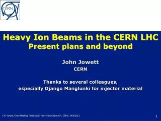 Heavy Ion Beams in the CERN LHC Present plans and beyond