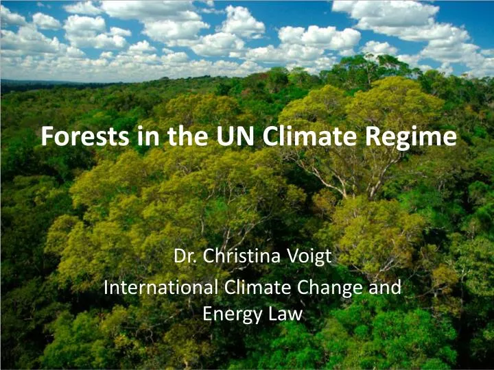 forests in the un climate regime